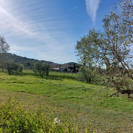Vento E Mare Panzió Riotorto Kültér fotó