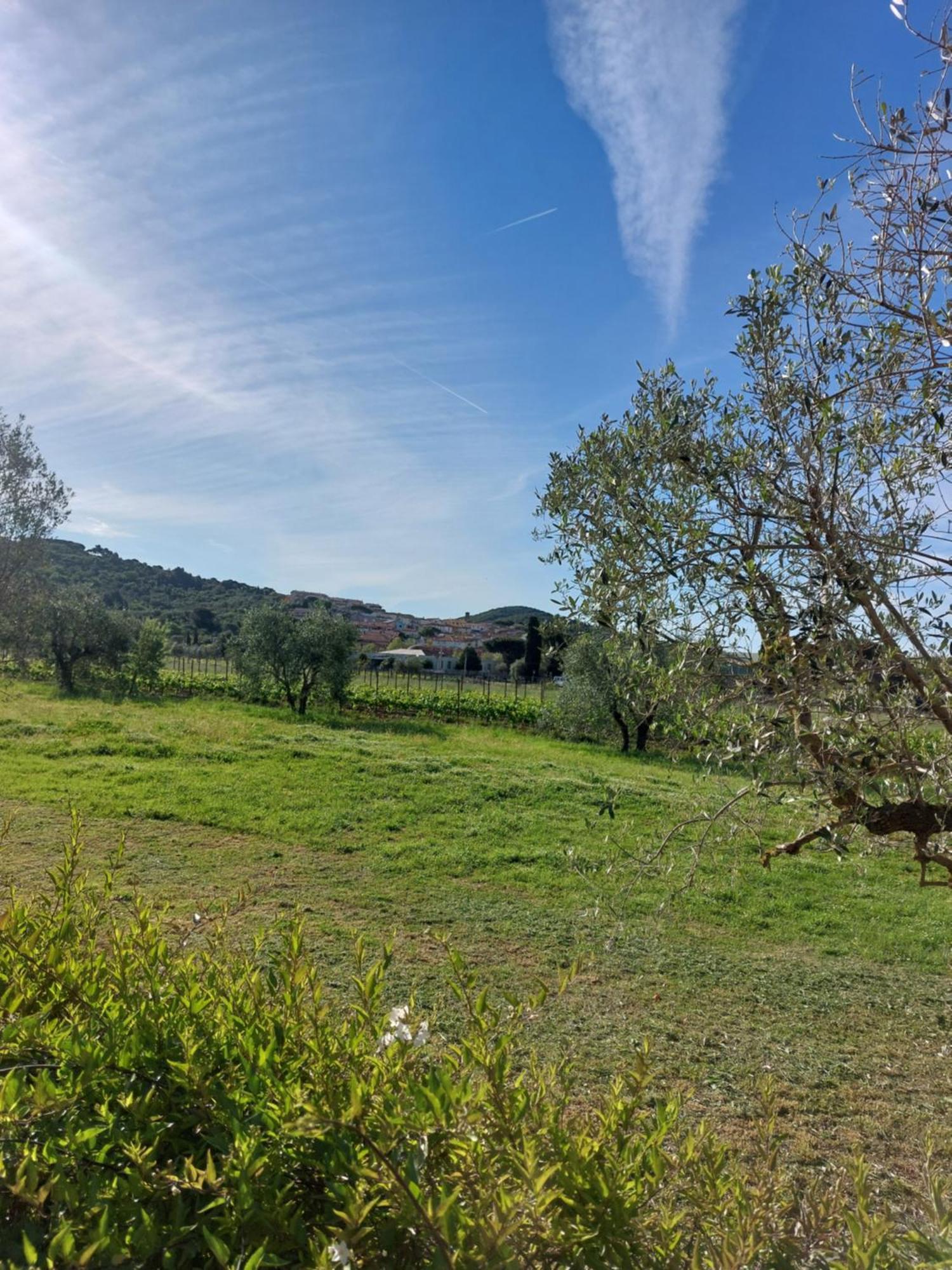 Vento E Mare Panzió Riotorto Kültér fotó